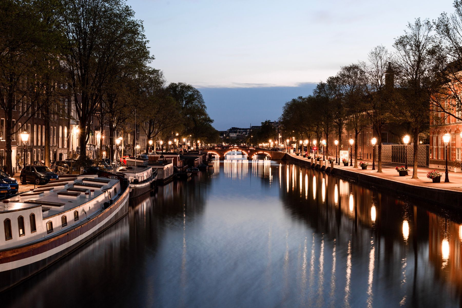 Your Guide to the Scenic Wonders Surrounding River Lodge