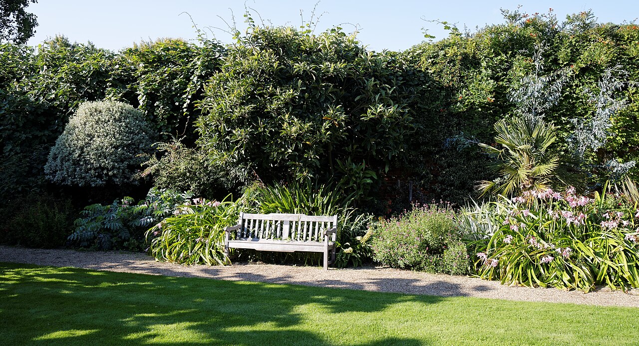 Coastal Landscaping in Island Bay: Salt, Wind and What Works