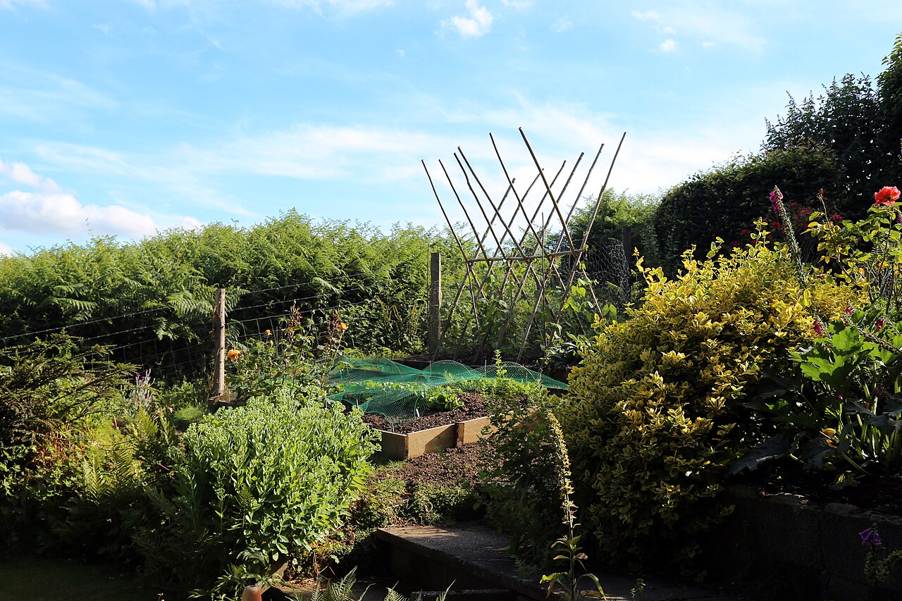 Home Improvements That Add Value in Palmerston North