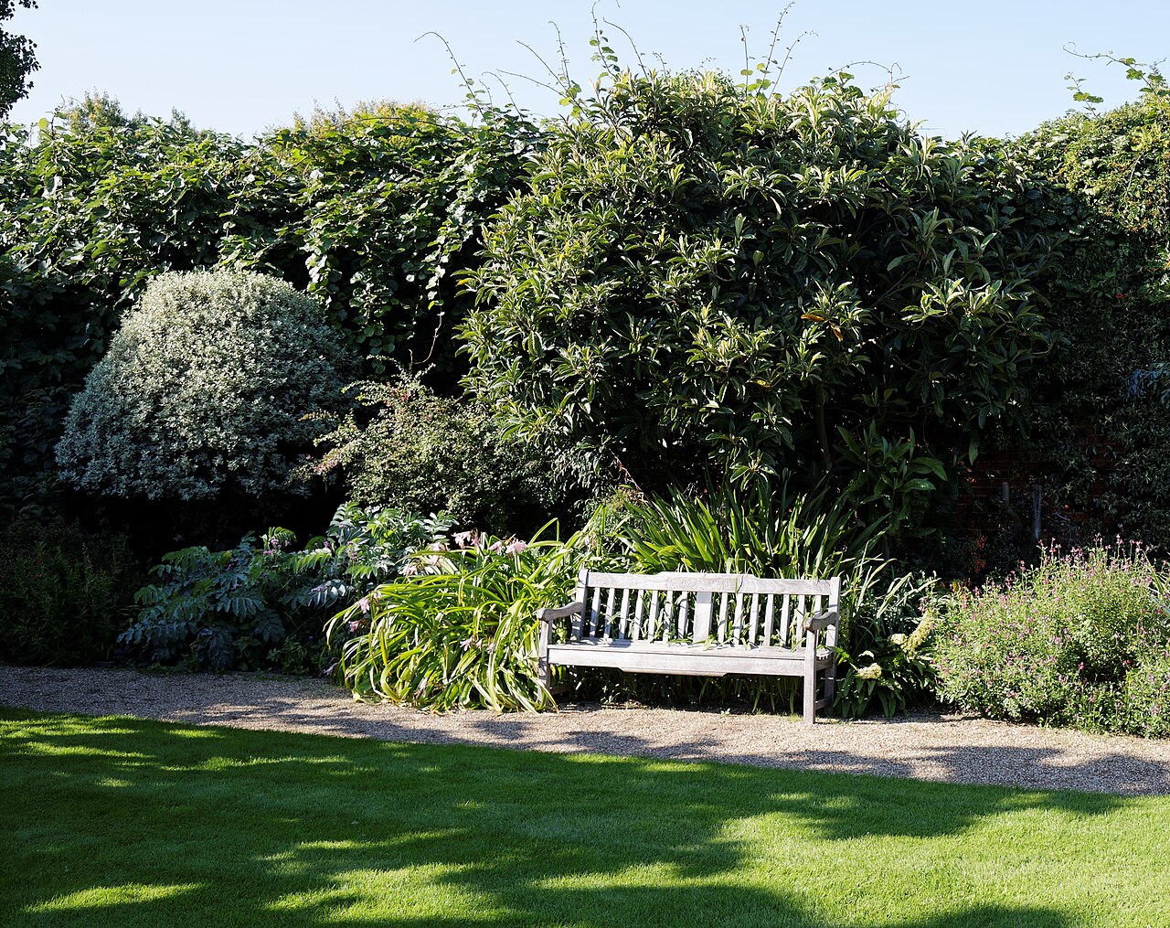 Irrigation Basics for Bay of Plenty Gardens