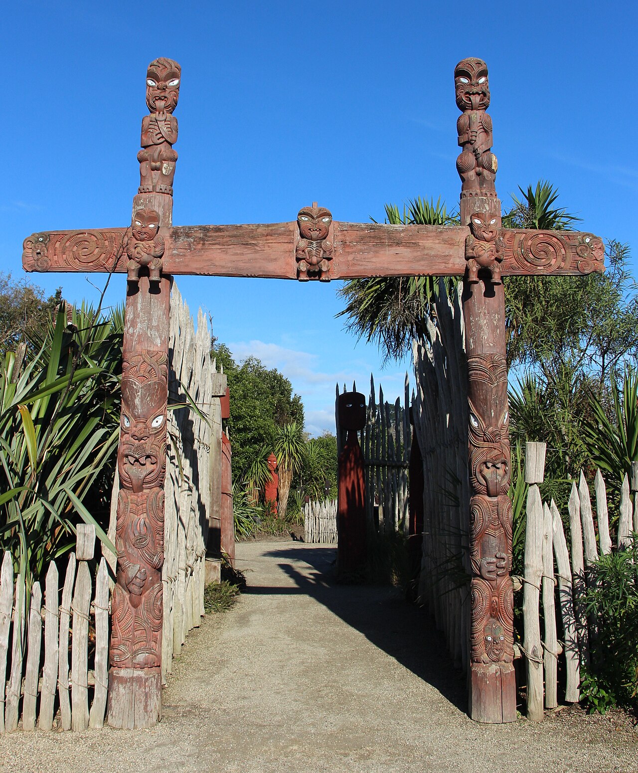 Living on a Rotorua Lifestyle Block: The Basics