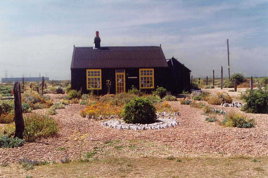 Native vs Exotic Planting for Lower North Island Gardens