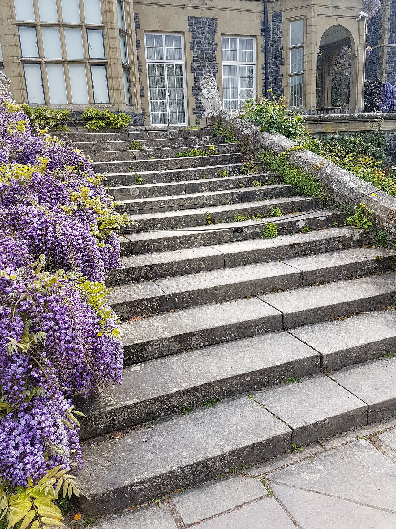 Retaining Walls on Wellington’s Hills: What You Need to Know
